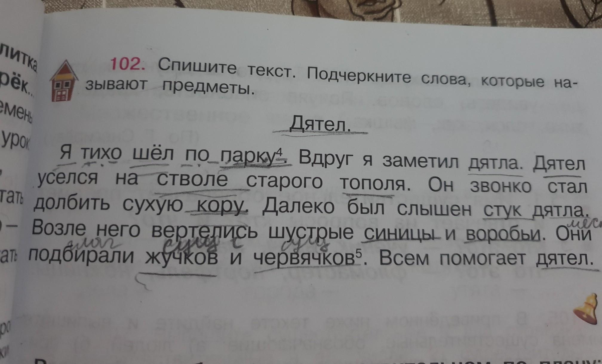 Укажите происхождение подчеркнутого слова